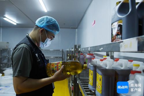 守护校园“舌尖上的安全” 海口经济学院开展“你点我检、你送我检”食品安全服务活动