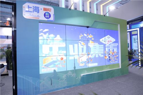 创业展宏图，劳务铸品牌——海纳百创以科技中介服务赋能全国创业就业展示交流